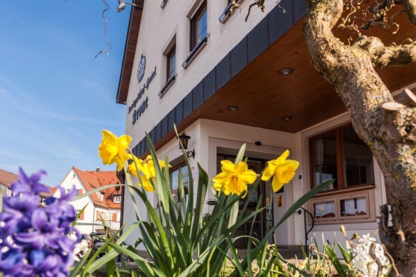 Hotel DIE KRONE AM FLUSS Landgasthof
